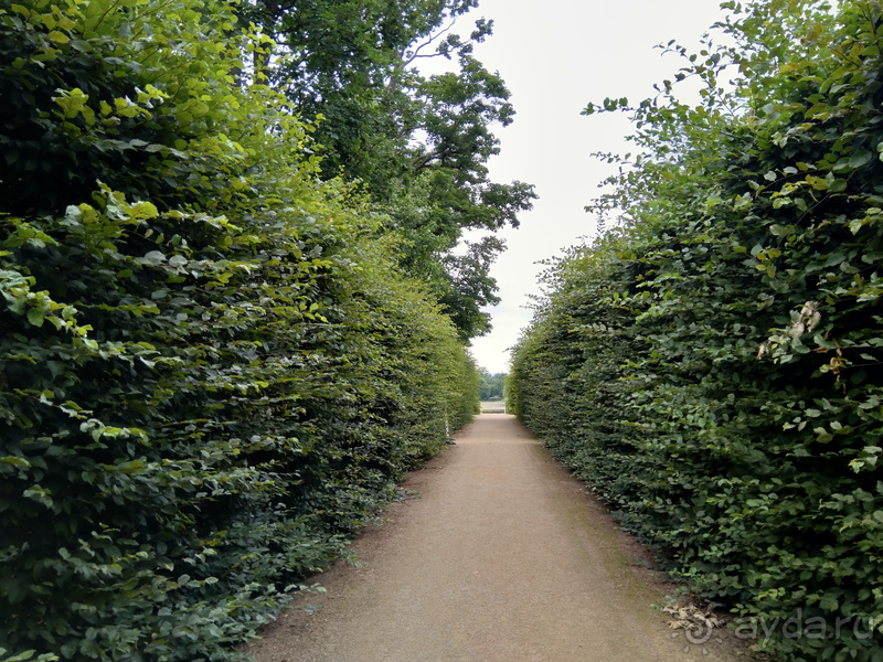 Дрезден, Германия. Парк замка Пильниц.