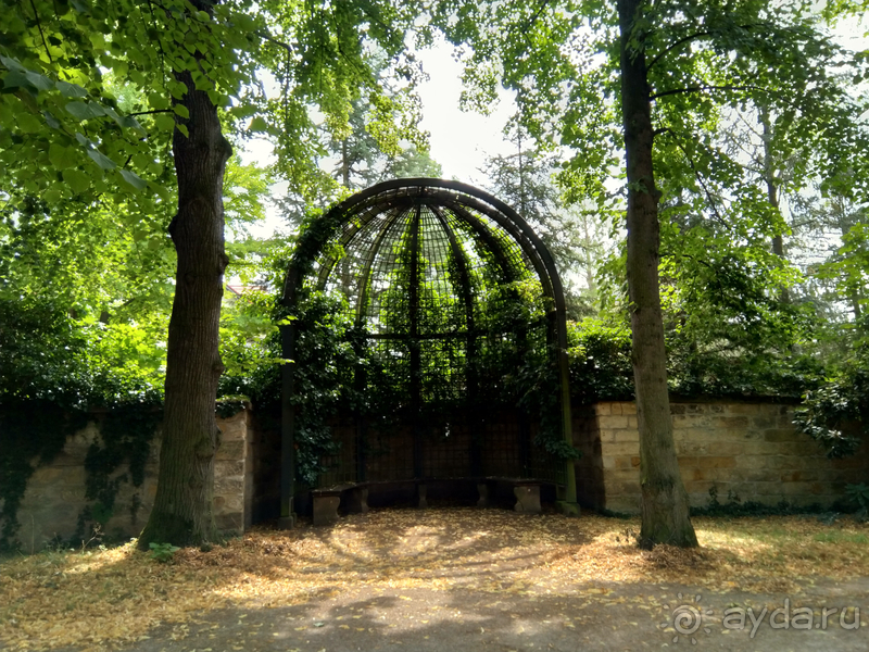 Дрезден, Германия. Парк замка Пильниц.