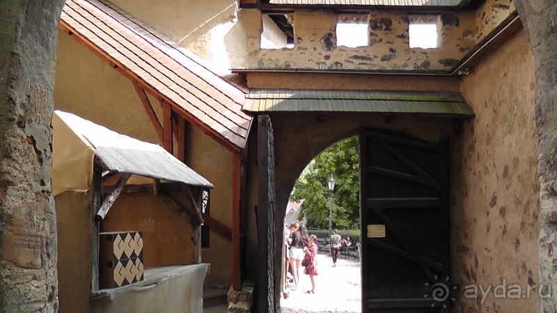 фото Dorada Palace