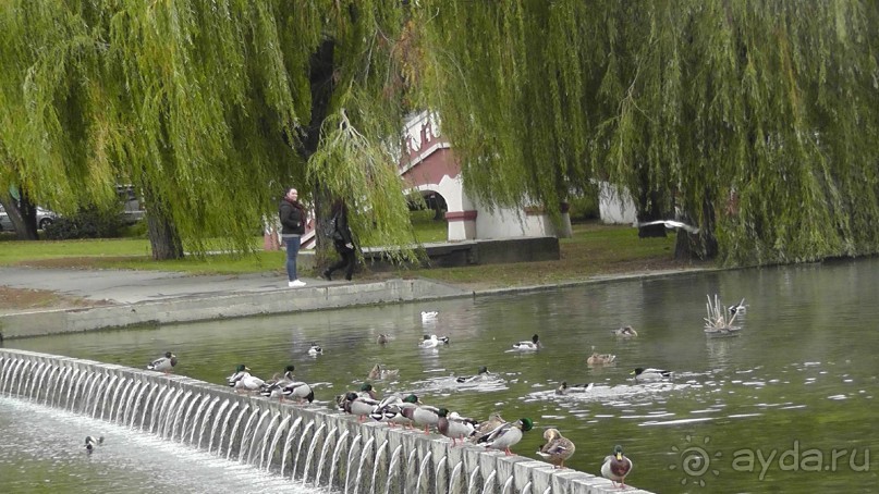 Это Венгрия! Купальня Сечени Будапешт