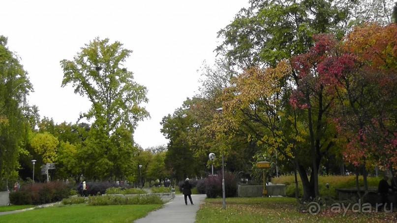 Это Венгрия! Купальня Сечени Будапешт