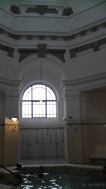 Это Венгрия! Купальня Сечени Будапешт