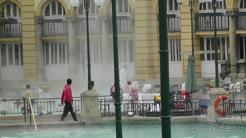 Это Венгрия! Купальня Сечени Будапешт