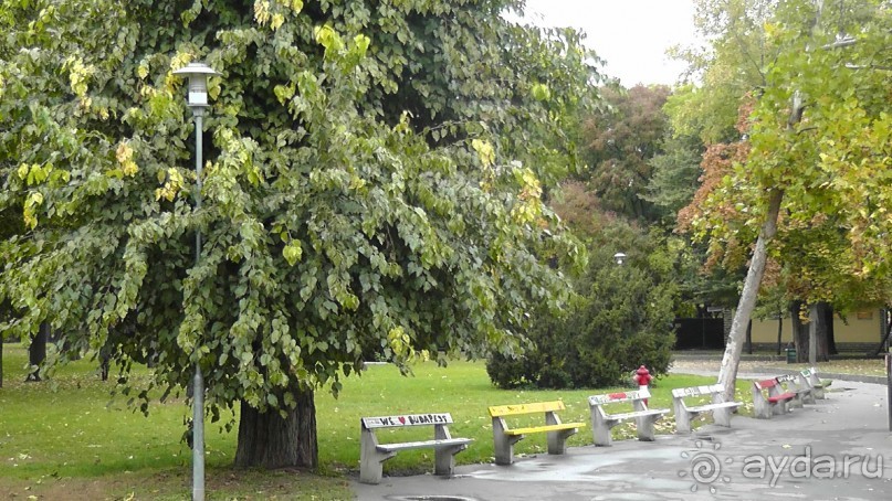 Это Венгрия! Купальня Сечени Будапешт