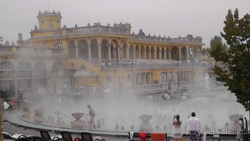 Это Венгрия! Купальня Сечени Будапешт