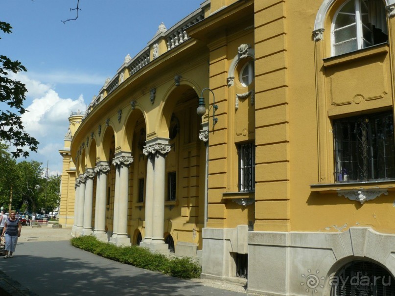 Это Венгрия! Купальня Сечени Будапешт