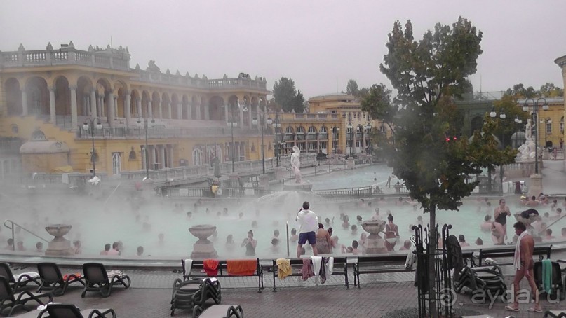 Это Венгрия! Купальня Сечени Будапешт