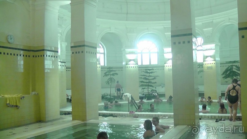 Это Венгрия! Купальня Сечени Будапешт