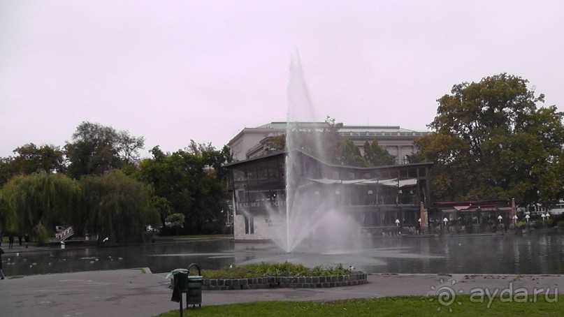 Это Венгрия! Купальня Сечени Будапешт