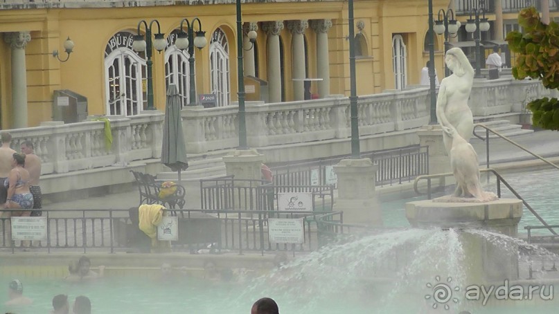 Это Венгрия! Купальня Сечени Будапешт