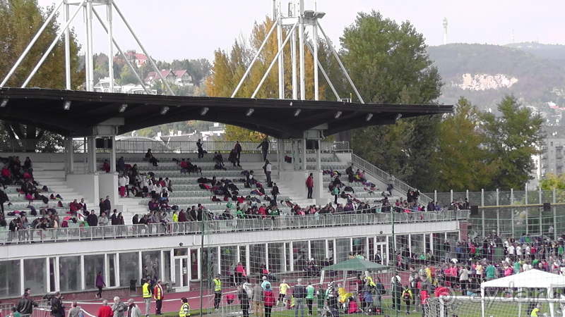 Будапешт. Это Венгрия!  Остров Маргит - Япония и Венгрия 