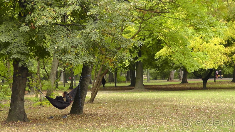 Будапешт. Это Венгрия!  Остров Маргит - Япония и Венгрия 