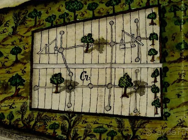 Будапешт. Это Венгрия!  Остров Маргит - Япония и Венгрия 