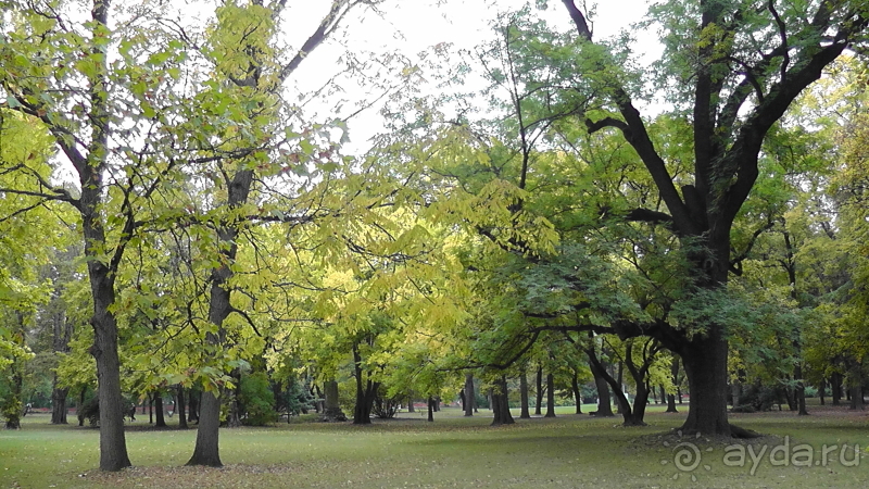 Будапешт. Это Венгрия!  Остров Маргит - Япония и Венгрия 