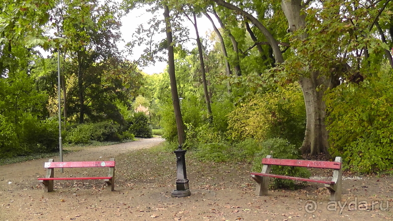 Будапешт. Это Венгрия!  Остров Маргит - Япония и Венгрия 