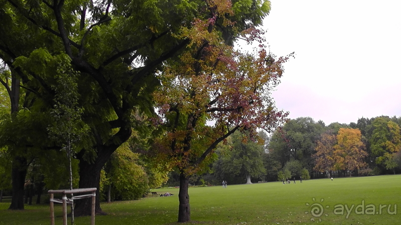 Будапешт. Это Венгрия!  Остров Маргит - Япония и Венгрия 