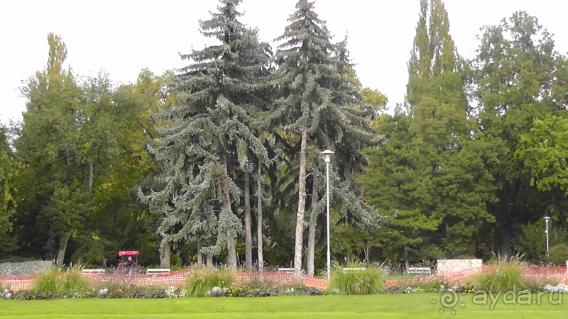 Будапешт. Это Венгрия!  Остров Маргит - Япония и Венгрия 