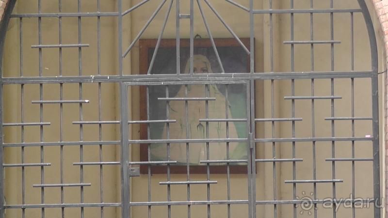 Будапешт. Это Венгрия!  Остров Маргит - Япония и Венгрия 