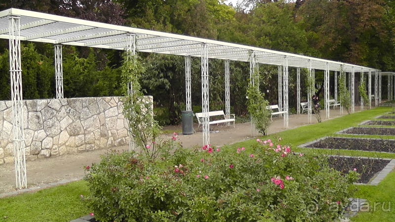 Будапешт. Это Венгрия!  Остров Маргит - Япония и Венгрия 