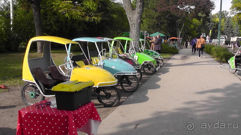 Будапешт. Это Венгрия!  Остров Маргит - Япония и Венгрия 