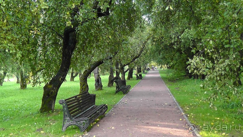  Москва - всё в этом слове! Парк Коломенское.