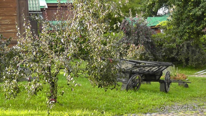  Москва - всё в этом слове! Парк Коломенское.