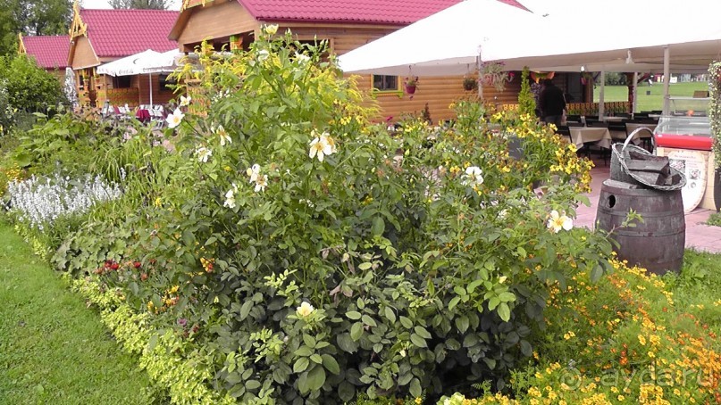  Москва - всё в этом слове! Парк Коломенское.