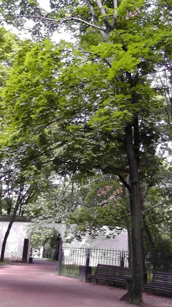  Москва - всё в этом слове! Парк Коломенское.