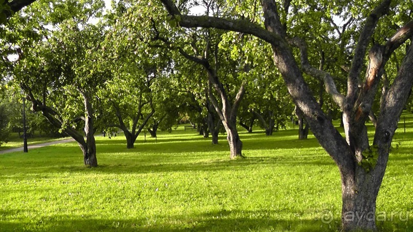 Москва - всё в этом слове! Парк Коломенское.