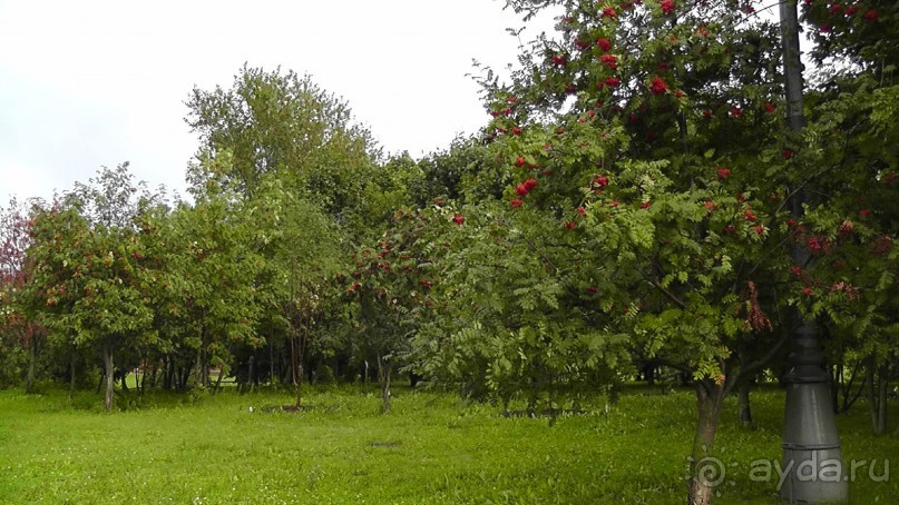  Москва - всё в этом слове! Парк Коломенское.
