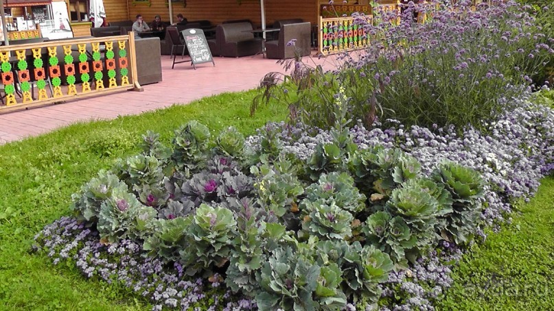  Москва - всё в этом слове! Парк Коломенское.