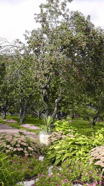  Москва - всё в этом слове! Парк Коломенское.