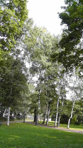  Москва - всё в этом слове! Парк Коломенское.