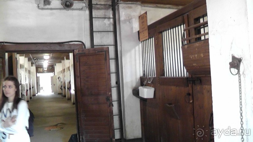  Москва - всё в этом слове! Парк Коломенское.