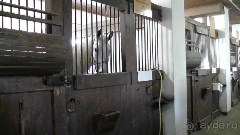  Москва - всё в этом слове! Парк Коломенское.