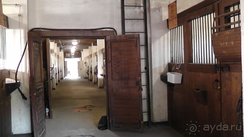  Москва - всё в этом слове! Парк Коломенское.