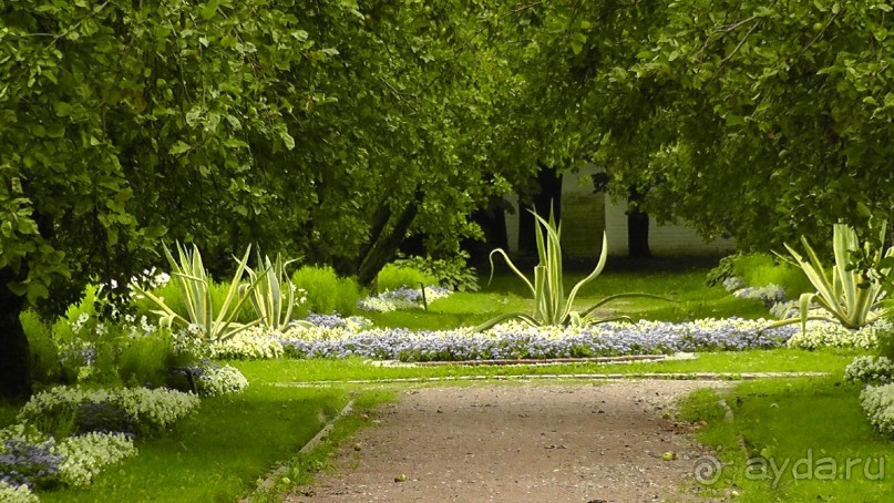  Москва - всё в этом слове! Парк Коломенское.