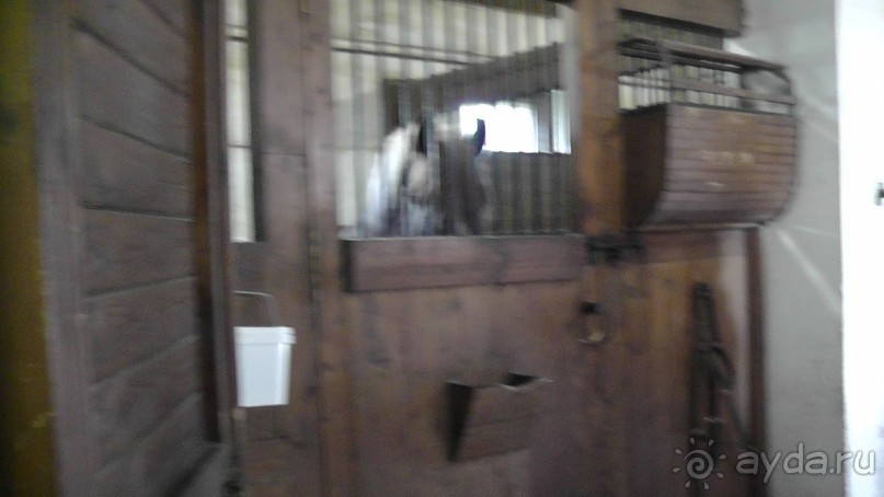  Москва - всё в этом слове! Парк Коломенское.