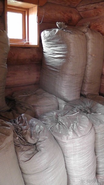  Москва - всё в этом слове! Парк Коломенское.