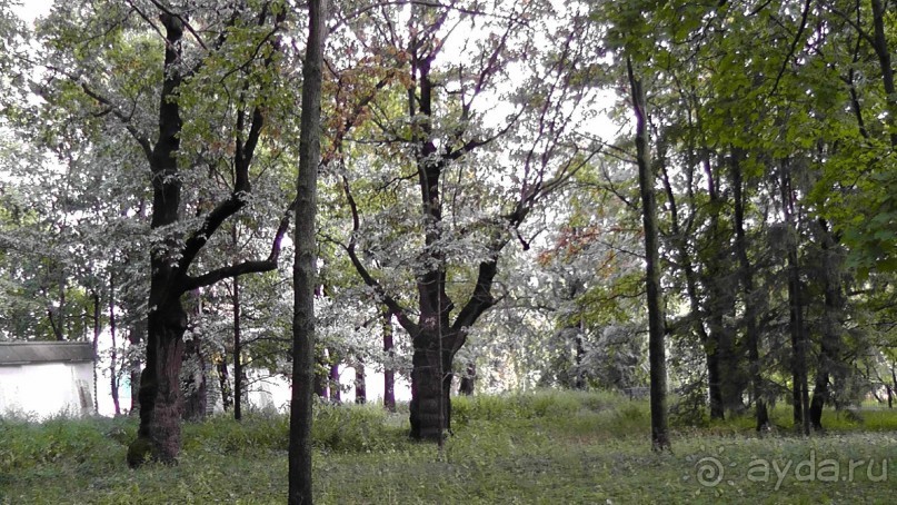  Москва - всё в этом слове! Парк Коломенское.