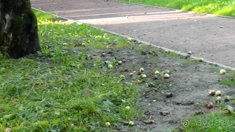  Москва - всё в этом слове! Парк Коломенское.