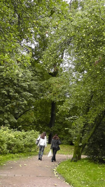  Москва - всё в этом слове! Парк Коломенское.