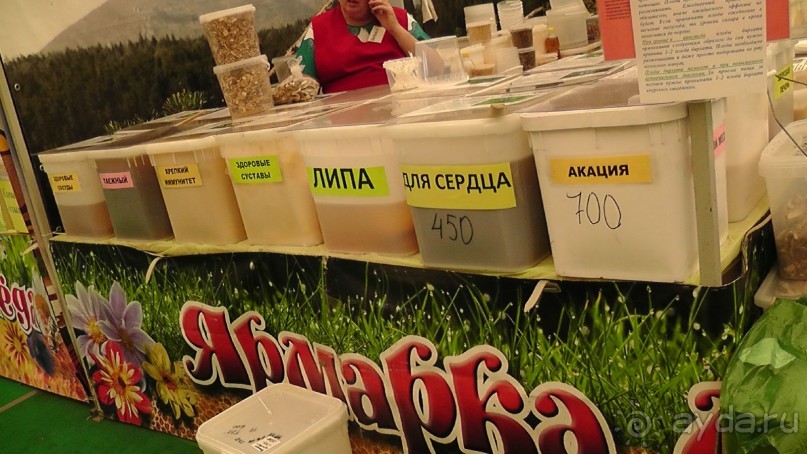  Москва - всё в этом слове! Парк Коломенское.