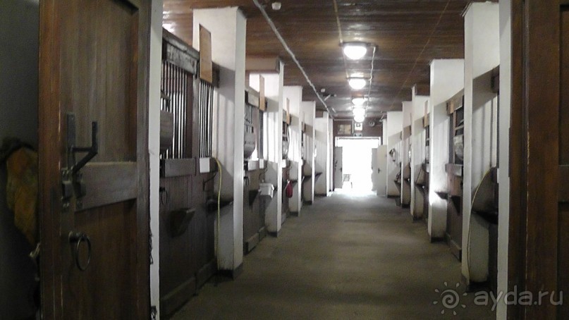  Москва - всё в этом слове! Парк Коломенское.