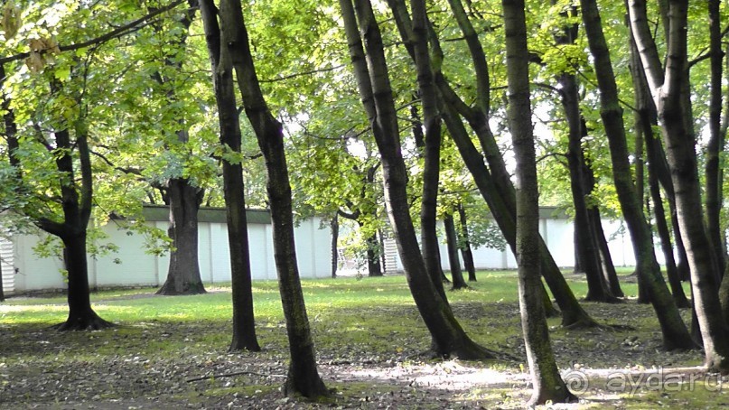  Москва - всё в этом слове! Парк Коломенское.