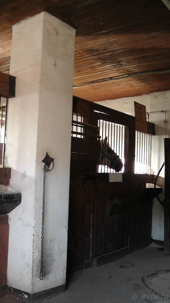  Москва - всё в этом слове! Парк Коломенское.