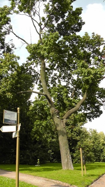  Москва - всё в этом слове! Парк Коломенское.
