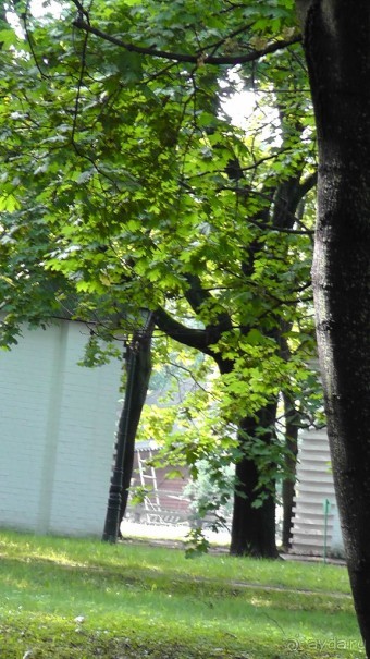  Москва - всё в этом слове! Парк Коломенское.