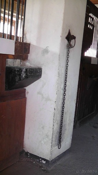  Москва - всё в этом слове! Парк Коломенское.