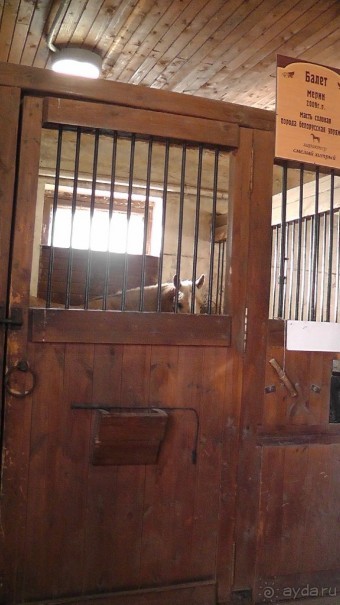  Москва - всё в этом слове! Парк Коломенское.